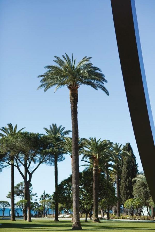 Le Saint Joseph - Old Tow, 2 Appartments In 1 Apartment Nizza